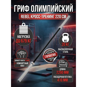 ���� ��� ������ REBEL �� 679 ��