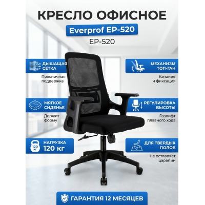 ������ ��� ��������� Everprof EP-520 ����� - ������ �� ����������� ���� � ��������-�������� "��� � ����"