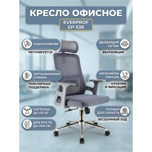 ������ ��� ��������� Everprof EP-530 �����