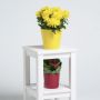 Цветочница высокая 75см KETT-UP ECO FLORIST