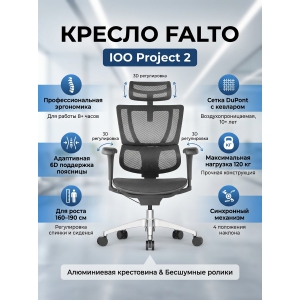������������ ������ Falto IOO Project 2