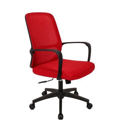    Everprof Bamboo  -      - "  "