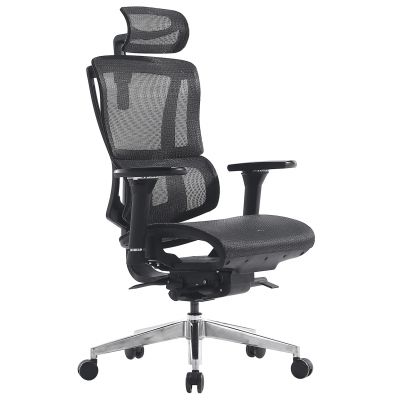   Everprof Mega  -      - "  "