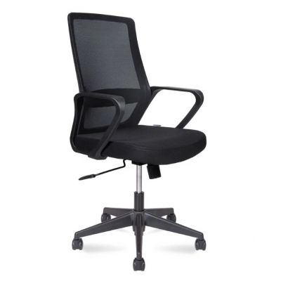    Norden Pino LB -      - "  "