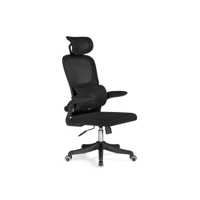    Woodville Sprut -      - "  "