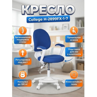 �������������� ������ ��� ��������� College H-2899FX-1-7 - ������ �� ����������� ���� � ��������-�������� "��� � ����"