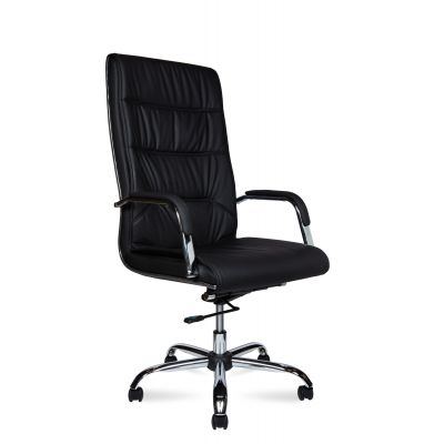    Norden Lion  -      - "  "