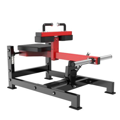   Protrain PP123 -      - "  "