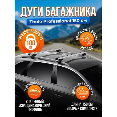 ��������� Thule Professional 150 ��, 2��. - ������ �� ����������� ���� � ��������-�������� "��� � ����"
