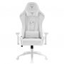Кресло компьютерное игровое ZONE 51 Frost