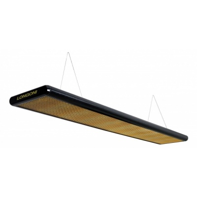     Weekend Nautilus 320  -      - "  "