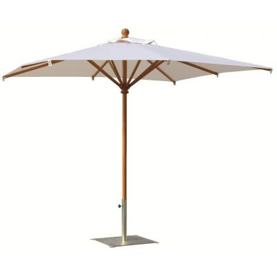   Scolaro Palladio Standard ,   -      - "  "