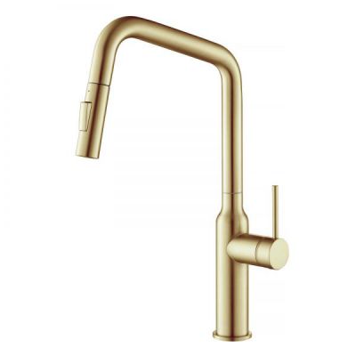  Timo Saona 2386/17FL   -      - "  "