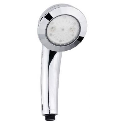  Timo SL-2019 -      - "  "