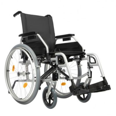 - Ortonica Base 195 PP -      - "  "