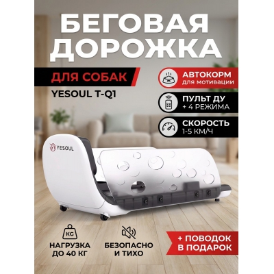 ������� ������� ��� ���� DFC Yesoul T-Q1 - ������ �� ����������� ���� � ��������-�������� "��� � ����"