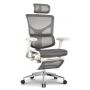 Кресло эргономичное Falto Expert 2 Sail с подножкой