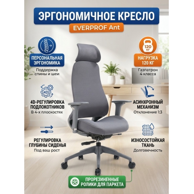 ������������ ������ Everprof Ant ����� - ������ �� ����������� ���� � ��������-�������� "��� � ����"