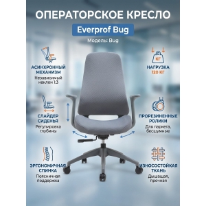 ������ ��� ��������� Everprof Bug �����