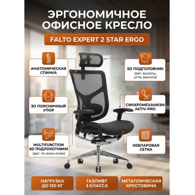 ������������ ������ Falto Expert 2 Star Ergo HSTM 01 ������ - ������ �� ����������� ���� � ��������-�������� "��� � ����"