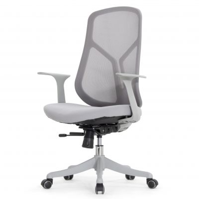   Falto  210BG (/ ) -      - "  "