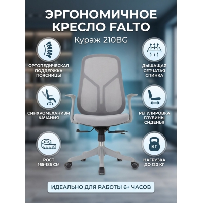 ������������ ������ Falto ����� 210BG (������/������ �����) - ������ �� ����������� ���� � ��������-�������� "��� � ����"