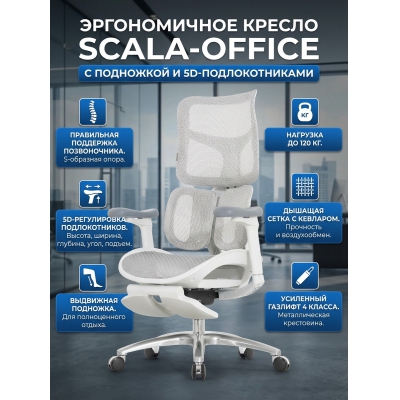 ������������ ������ Falto SCALA-OFFICE � ��������� (�����) - ������ �� ����������� ���� � ��������-�������� "��� � ����"