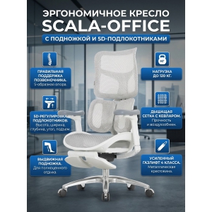 ������������ ������ Falto SCALA-OFFICE � ��������� (�����)