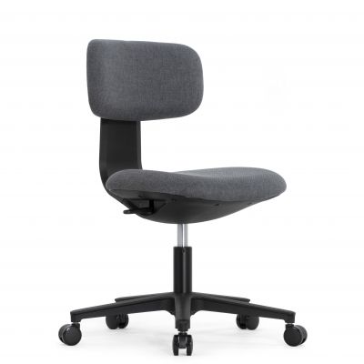   Falto Rookie plus ( / ) -      - "  "