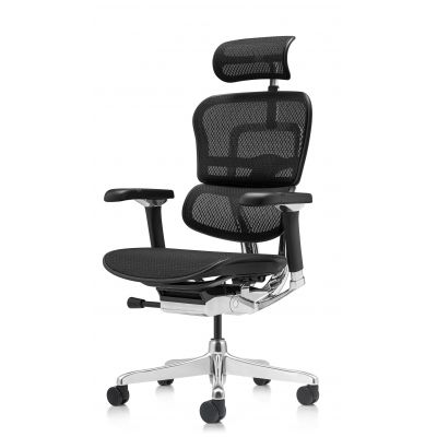   Falto Ergohuman Luxury 2 (  /) -      - "  "