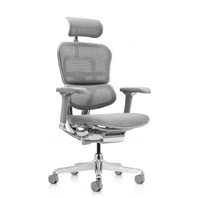   Falto Ergohuman Luxury 2 ( /) -      - "  "