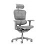 Кресло эргономичное Falto Ergohuman Ultra (серый каркас/сетка светлая)