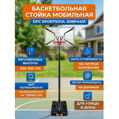 ��������� ������������� ������ DFC SPORTSOUL SSBP4401 - ������ �� ����������� ���� � ��������-�������� "��� � ����"