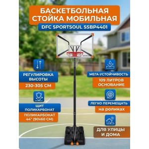��������� ������������� ������ DFC SPORTSOUL SSBP4401