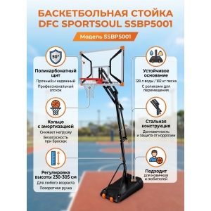 ��������� ������������� ������ DFC SPORTSOUL SSBP5001