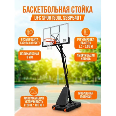 ��������� ������������� ������ DFC SPORTSOUL SSBP5401 - ������ �� ����������� ���� � ��������-�������� "��� � ����"