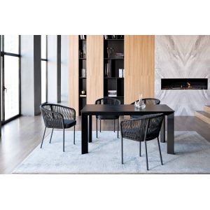 �������� ������ ������ 4SIS 