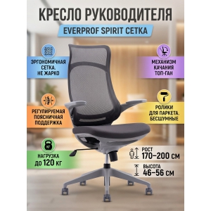 ������ ��� ������������ Everprof Spirit �����, �����