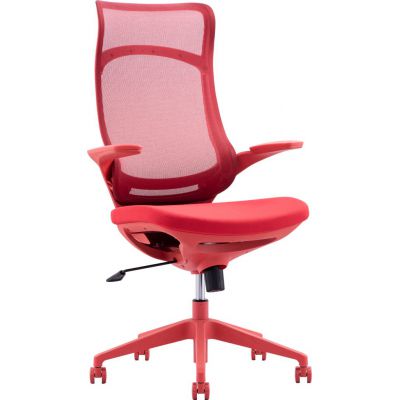    Everprof Spirit ,  -      - "  "