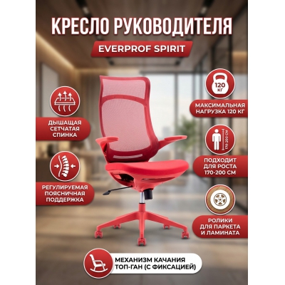 ������ ��� ������������ Everprof Spirit �����, ������� - ������ �� ����������� ���� � ��������-�������� "��� � ����"