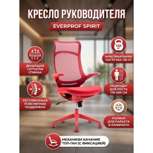 ������ ��� ������������ Everprof Spirit �����, �������