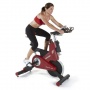 -  Sole Fitness SB900