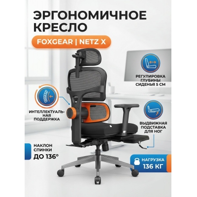 ������ ��� ������� FoxGear NETZ ������ X, ������ - ������ �� ����������� ���� � ��������-�������� "��� � ����"