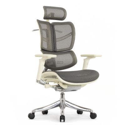   Falto Fly 2 ( ) -      - "  "