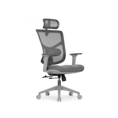   Falto Star Office Ergo 3 (, , ) -      - "  "