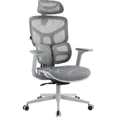   Everprof Alfa Grey   -      - "  "