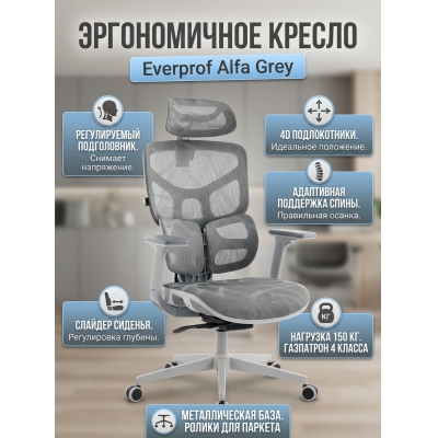 ������������ ������ Everprof Alfa Grey ����� ����� - ������ �� ����������� ���� � ��������-�������� "��� � ����"