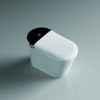  Timo -741B (G5) -      - "  "