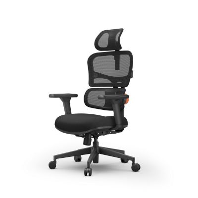    FoxGear NETZ  XO - office edition -      - "  "