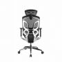   GTCHAIR GT Chair Dvary Pro X